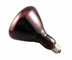 Heat Lamp Bulb 250w